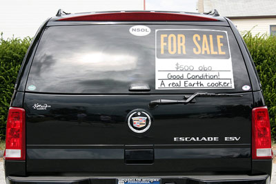 SUV earth cooker