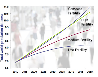 population chart